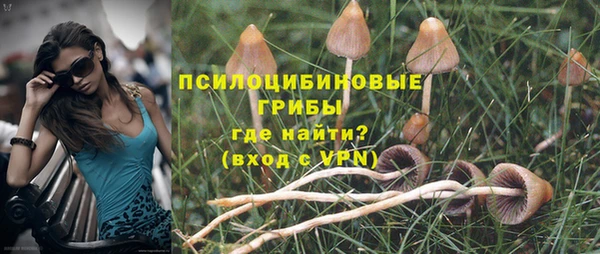 дживик Алзамай