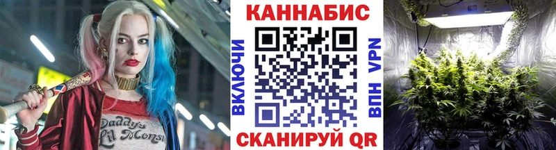 Купить закладки  Надым  Шишки марихуана THC 21% 